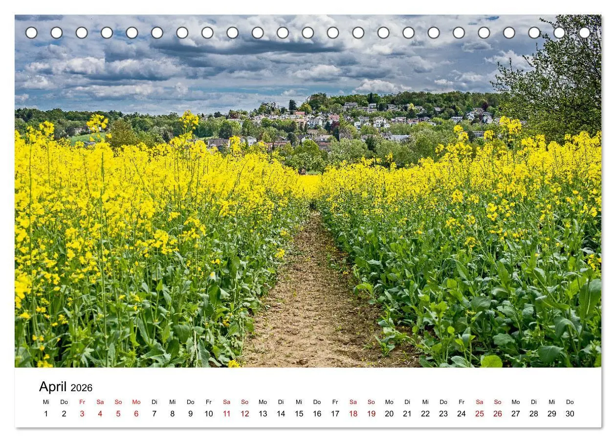 Bild: 9783457906194 | Höhepunkte des Siebengebirges (Tischkalender 2026 DIN A5 quer),...
