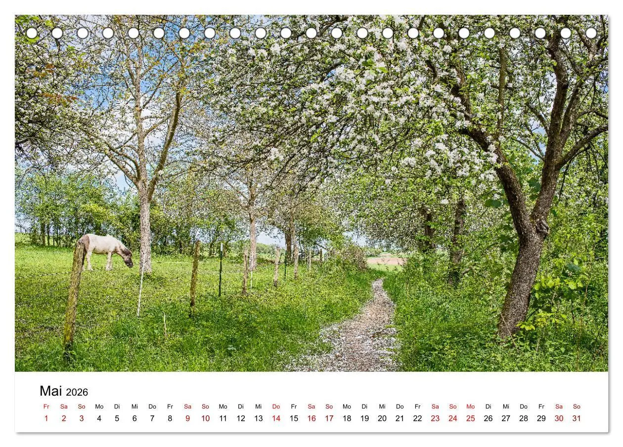 Bild: 9783457906194 | Höhepunkte des Siebengebirges (Tischkalender 2026 DIN A5 quer),...