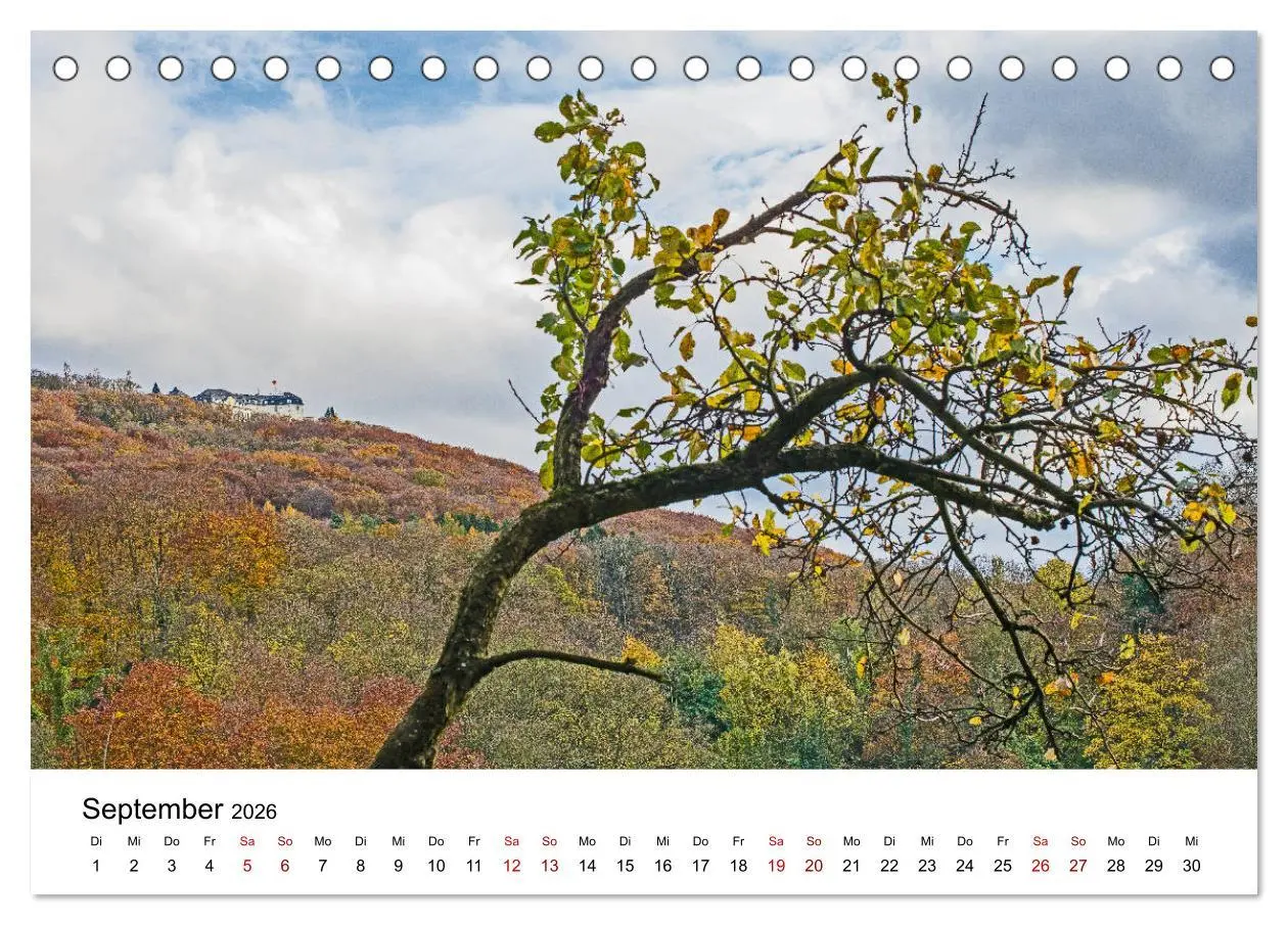 Bild: 9783457906194 | Höhepunkte des Siebengebirges (Tischkalender 2026 DIN A5 quer),...