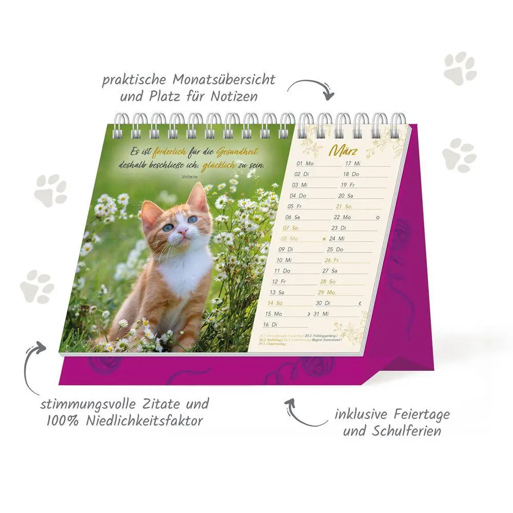 Bild: 9783988026194 | TRÖTSCH - Aufstellkalender Samtpfötchen 2027 | KG | Kalender | 24 S.