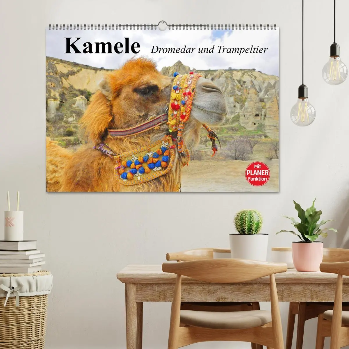 Bild: 9783457996294 | Kamele. Dromedar und Trampeltier (Wandkalender 2026 DIN A2 quer),...