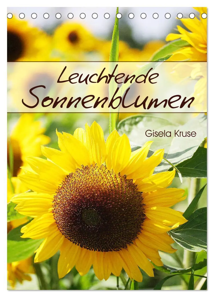Cover: 9783516396294 | Leuchtende Sonnenblumen (Tischkalender 2026 DIN A5 hoch), CALVENDO...