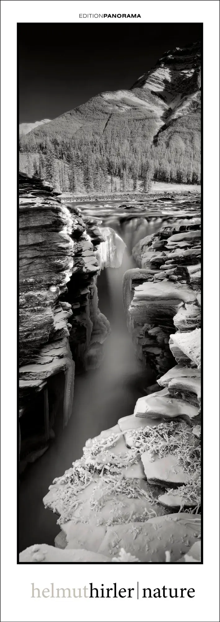 Cover: 9783898236294 | Nature | Immerwährender Vertikal-Kalender, 40 x 110 cm | Helmut Hirler