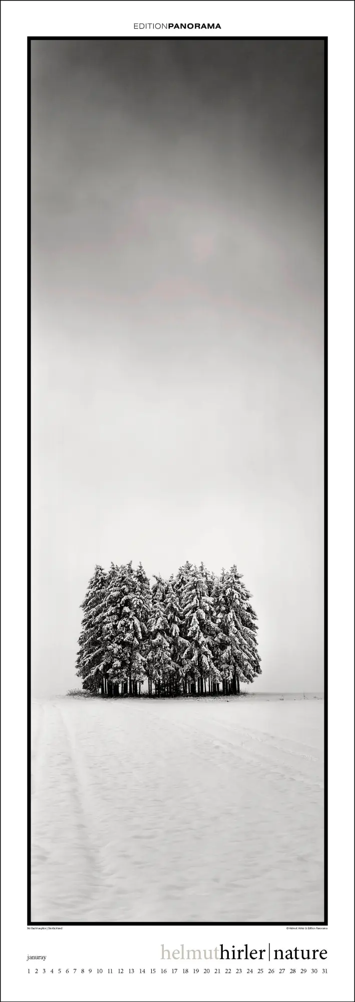 Bild: 9783898236294 | Nature | Immerwährender Vertikal-Kalender, 40 x 110 cm | Helmut Hirler