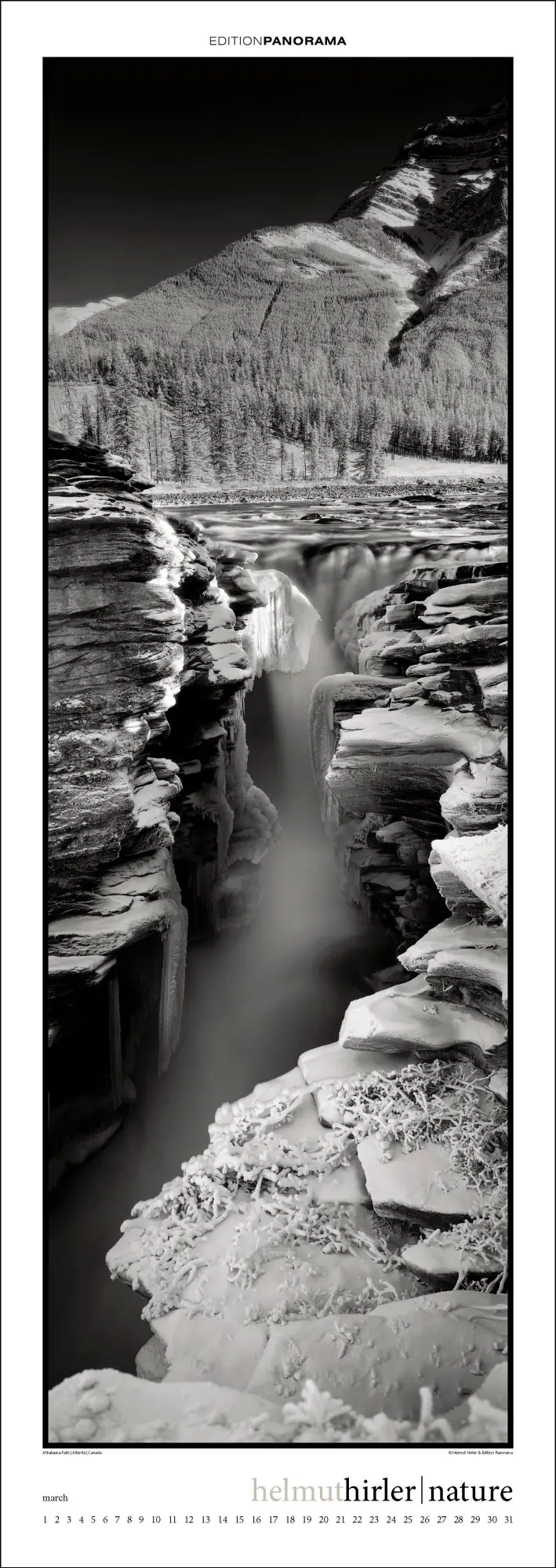 Bild: 9783898236294 | Nature | Immerwährender Vertikal-Kalender, 40 x 110 cm | Helmut Hirler