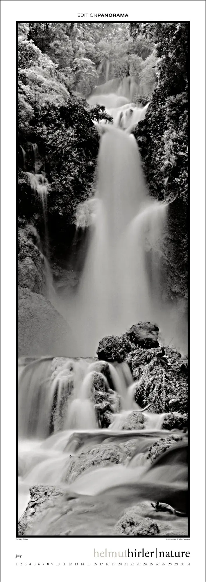 Bild: 9783898236294 | Nature | Immerwährender Vertikal-Kalender, 40 x 110 cm | Helmut Hirler