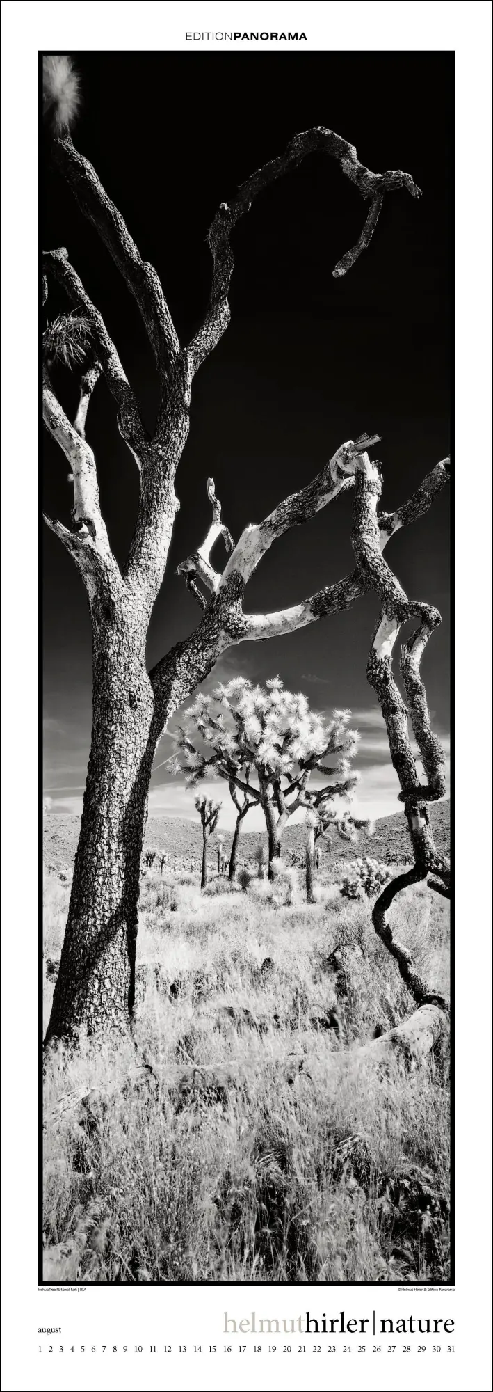 Bild: 9783898236294 | Nature | Immerwährender Vertikal-Kalender, 40 x 110 cm | Helmut Hirler
