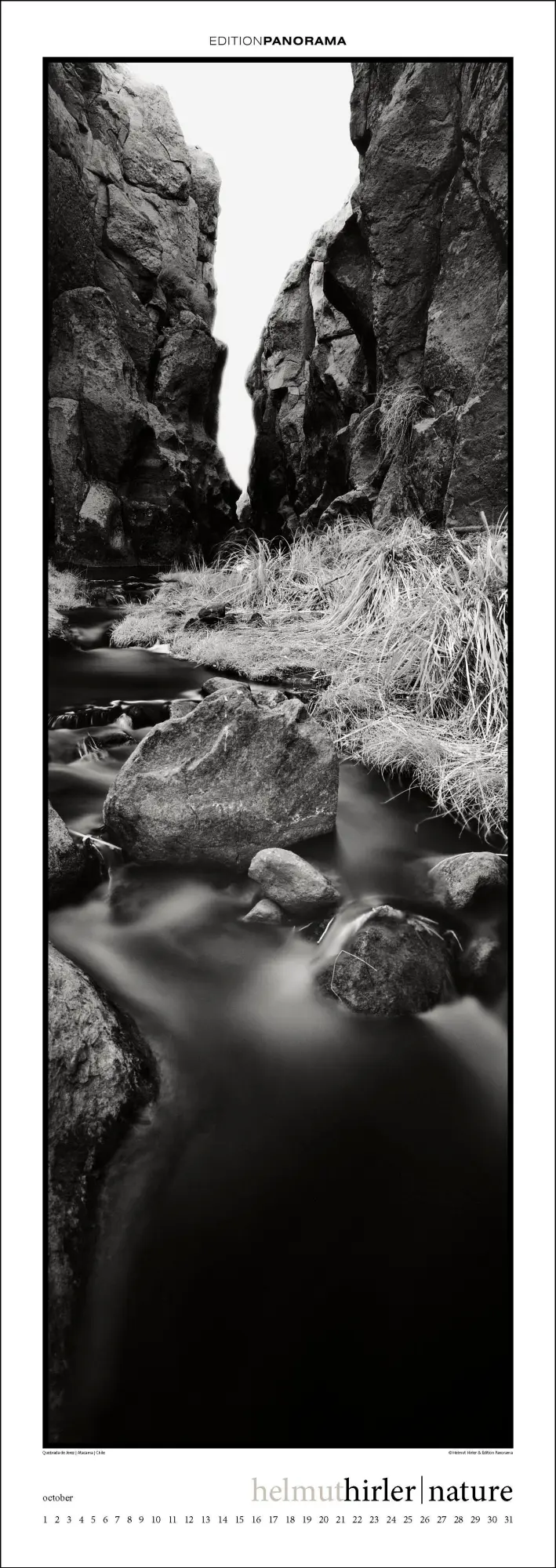 Bild: 9783898236294 | Nature | Immerwährender Vertikal-Kalender, 40 x 110 cm | Helmut Hirler