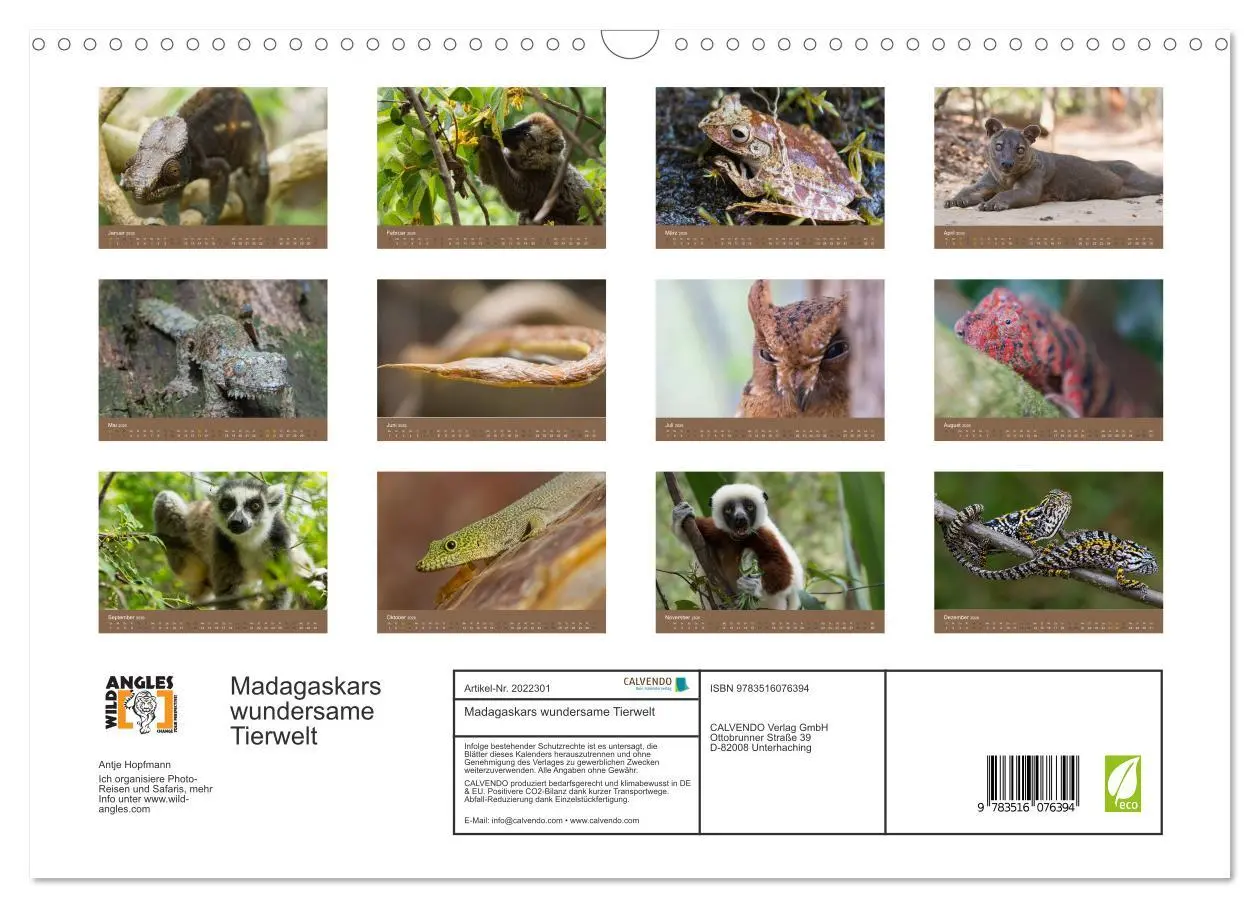 Bild: 9783516076394 | Madagaskars wundersame Tierwelt (Wandkalender 2026 DIN A3 quer),...