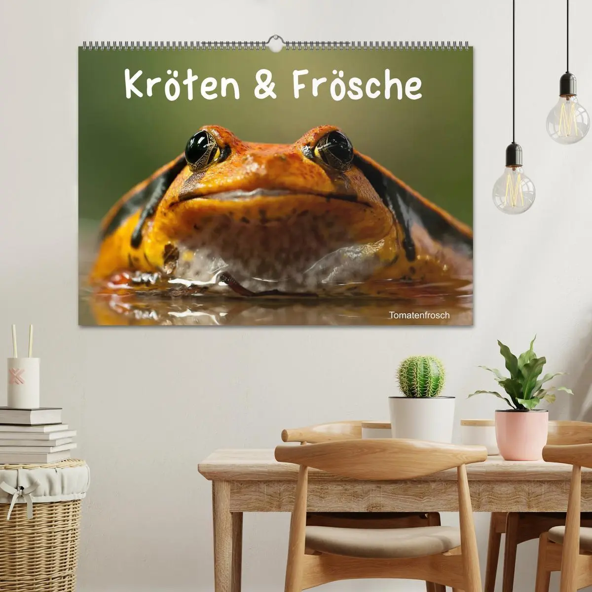 Bild: 9783516146394 | Kröten &amp; Frösche (Wandkalender 2026 DIN A2 quer), CALVENDO...