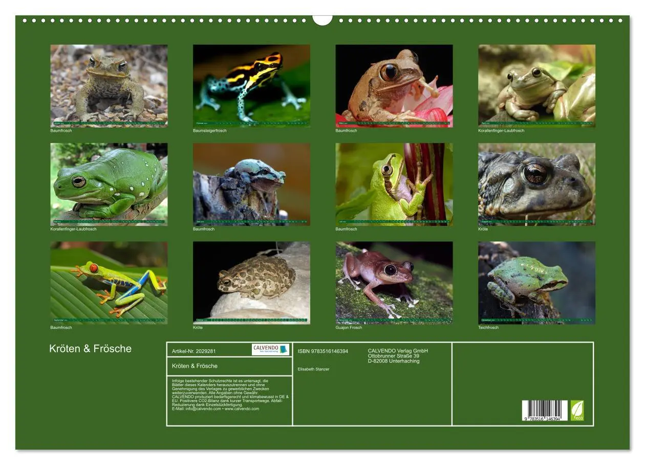 Bild: 9783516146394 | Kröten &amp; Frösche (Wandkalender 2026 DIN A2 quer), CALVENDO...