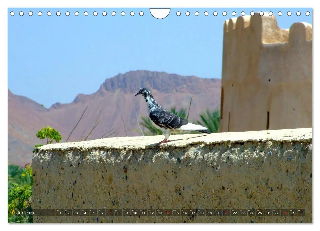 Bild: 9783516216394 | Oman - Eine Bilder-Reise (Wandkalender 2026 DIN A4 quer), CALVENDO...