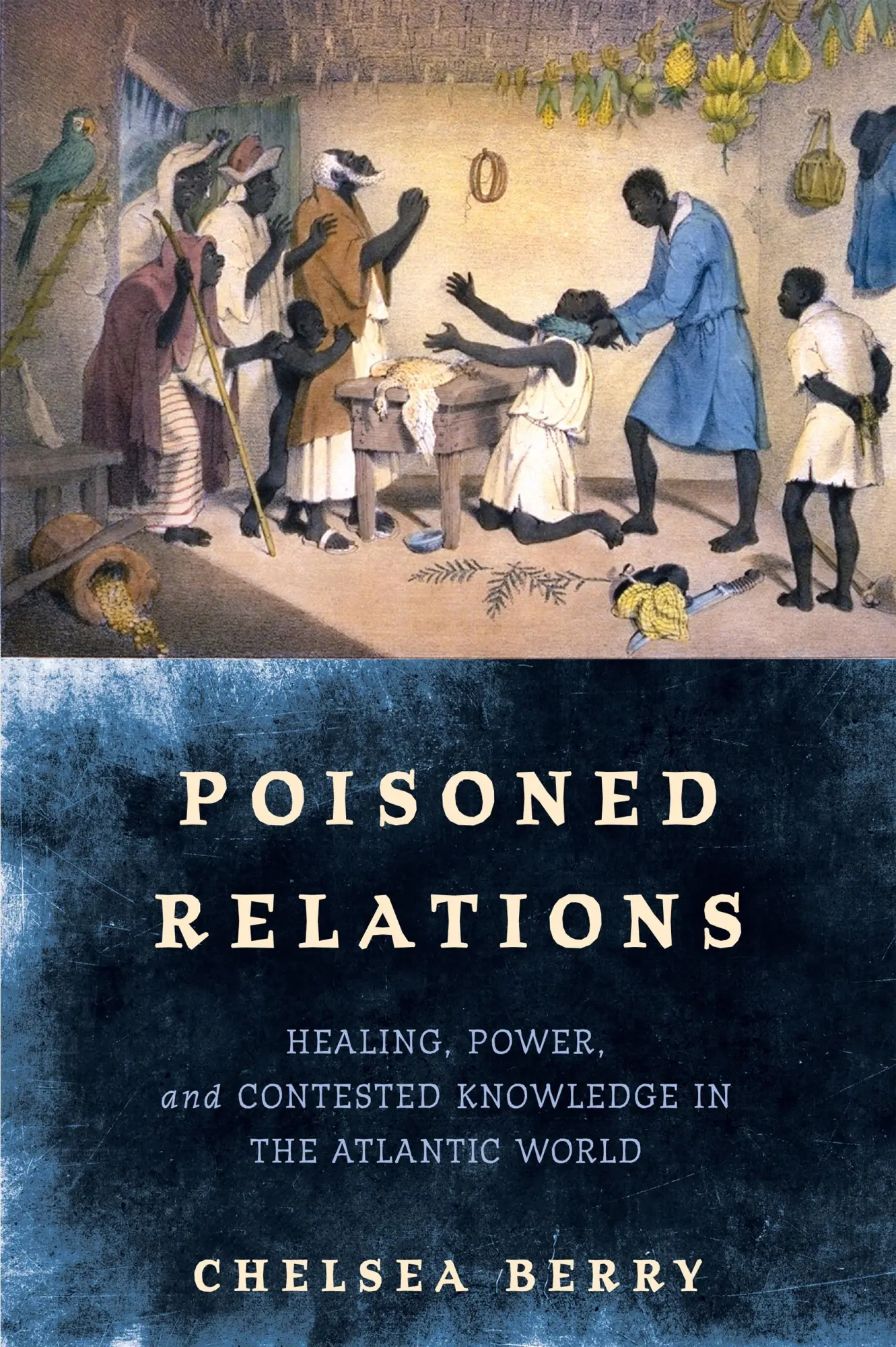 Cover: 9781512826494 | Poisoned Relations | Chelsea Berry | Buch | Einband - fest (Hardcover)