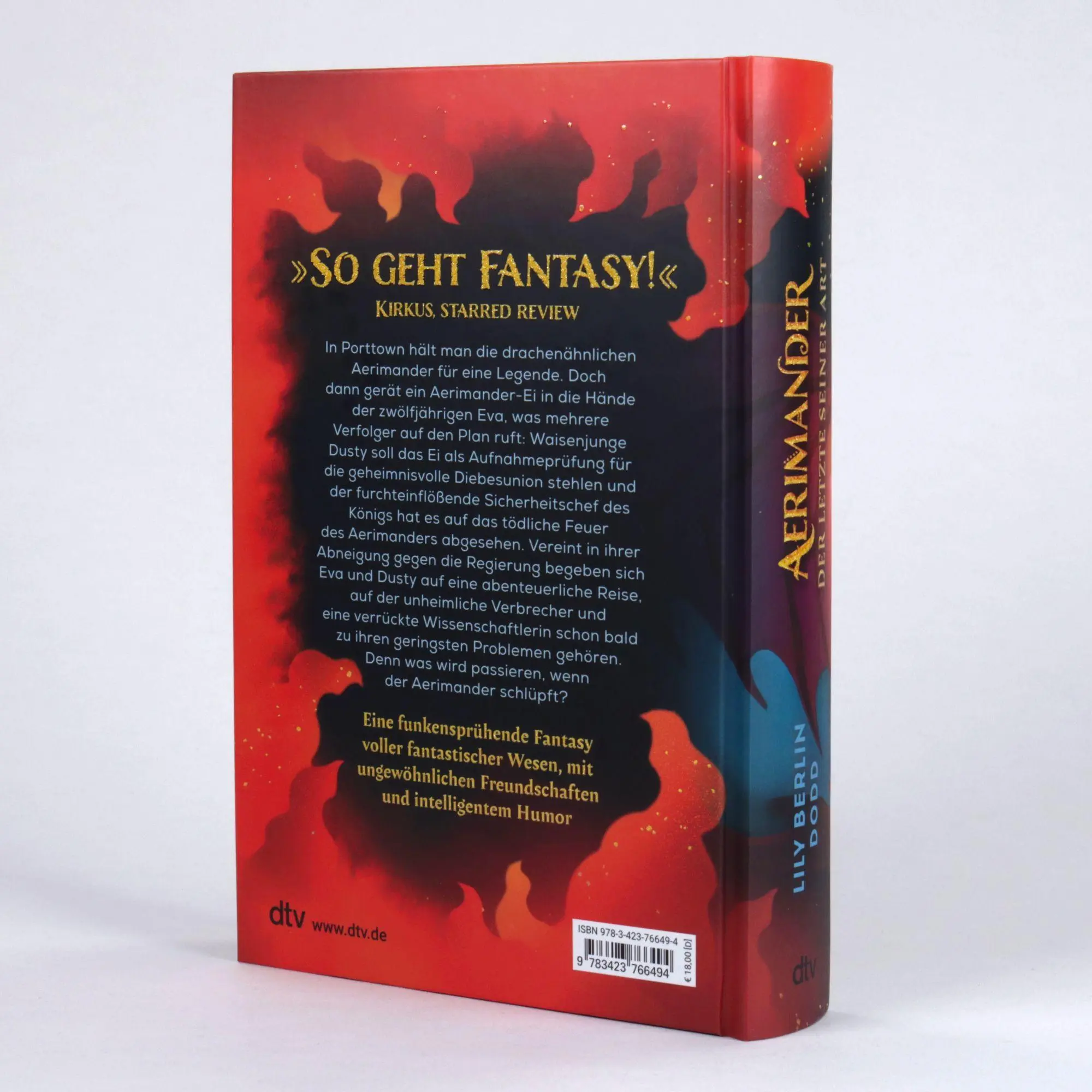 Bild: 9783423766494 | Aerimander | Lily Berlin Dodd | Buch | 384 S. | Deutsch | 2026