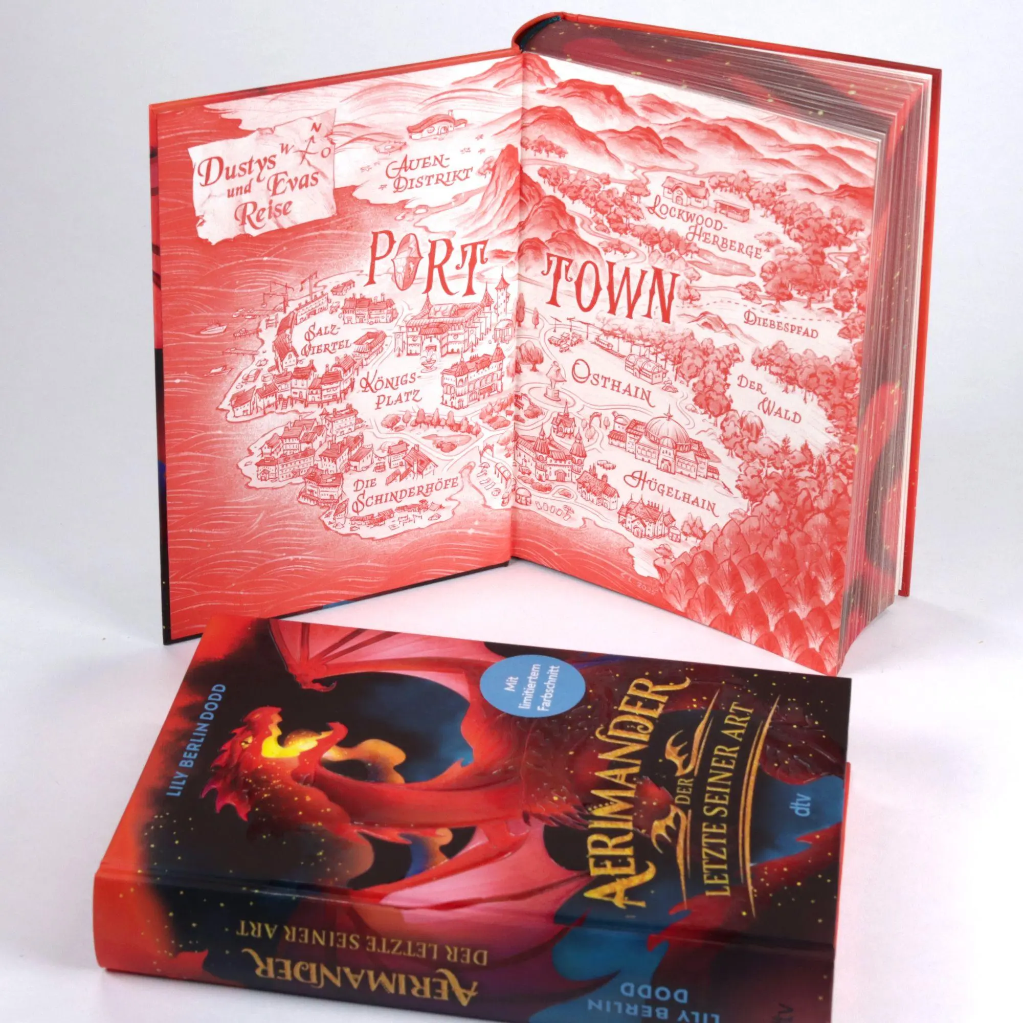 Bild: 9783423766494 | Aerimander | Lily Berlin Dodd | Buch | 384 S. | Deutsch | 2026