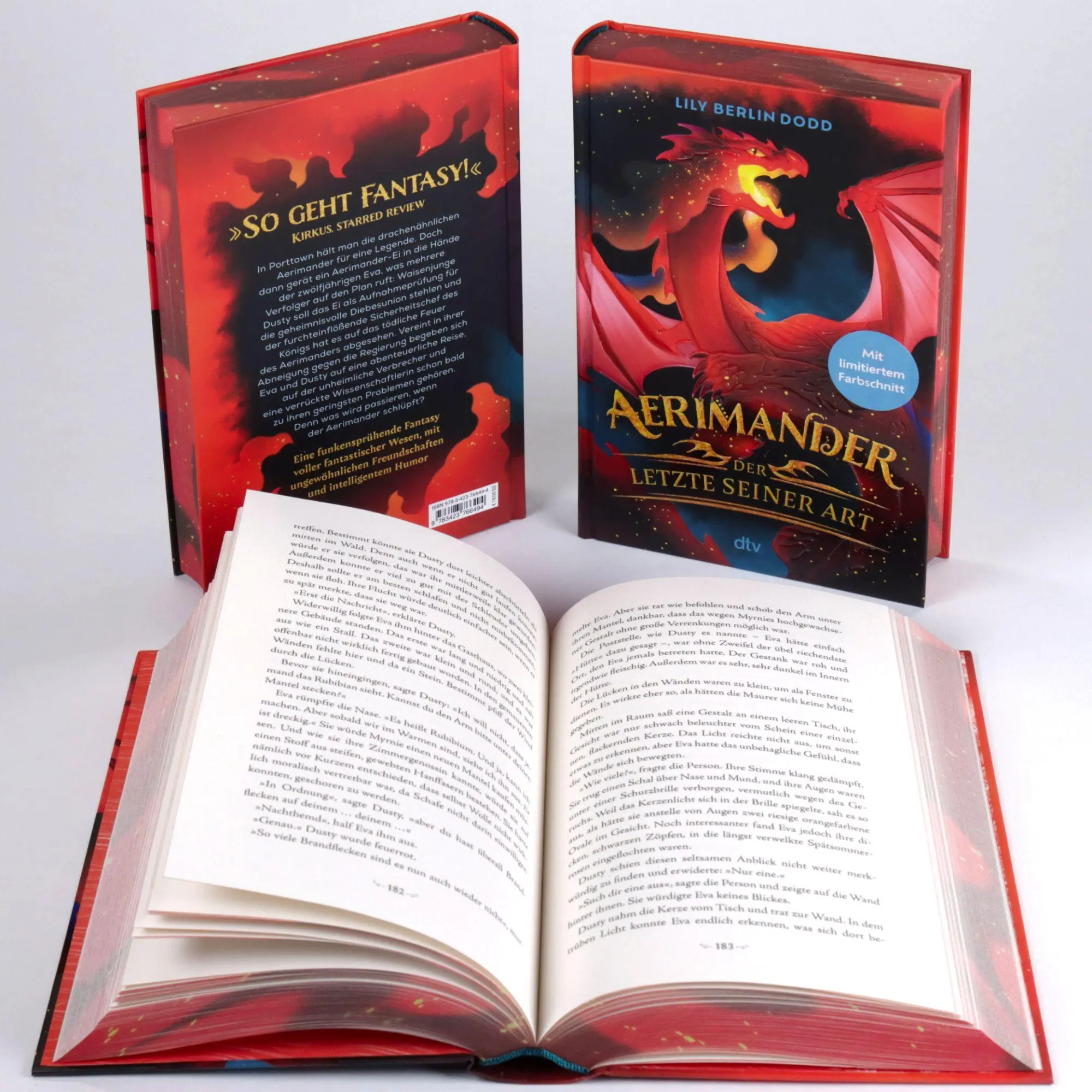 Bild: 9783423766494 | Aerimander | Lily Berlin Dodd | Buch | 384 S. | Deutsch | 2026