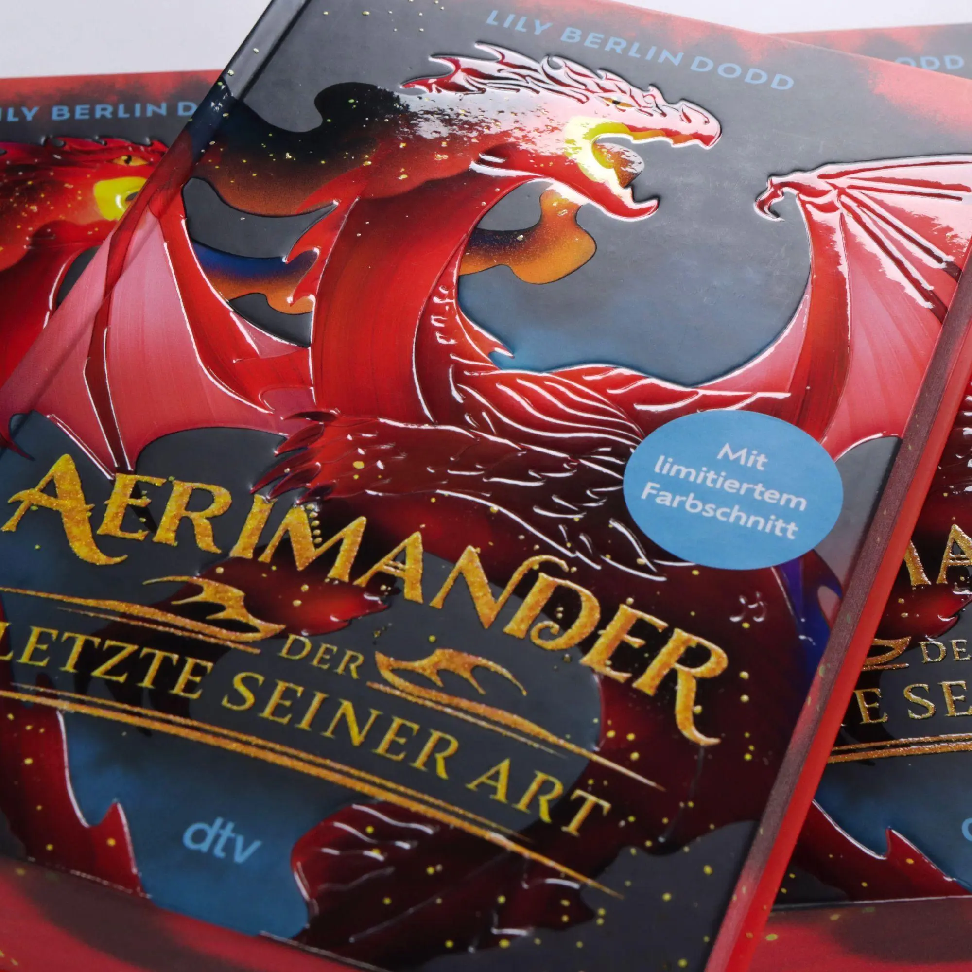 Bild: 9783423766494 | Aerimander | Lily Berlin Dodd | Buch | 384 S. | Deutsch | 2026