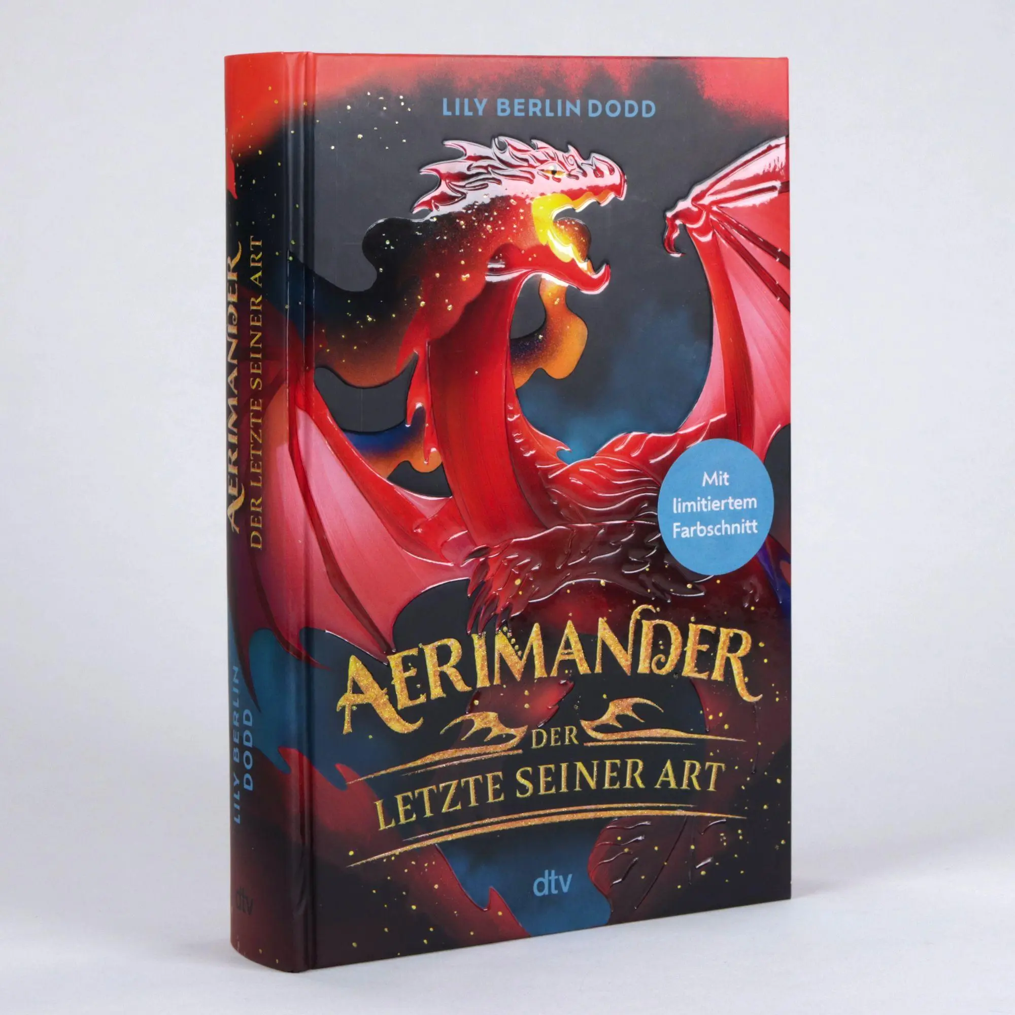 Bild: 9783423766494 | Aerimander | Lily Berlin Dodd | Buch | 384 S. | Deutsch | 2026