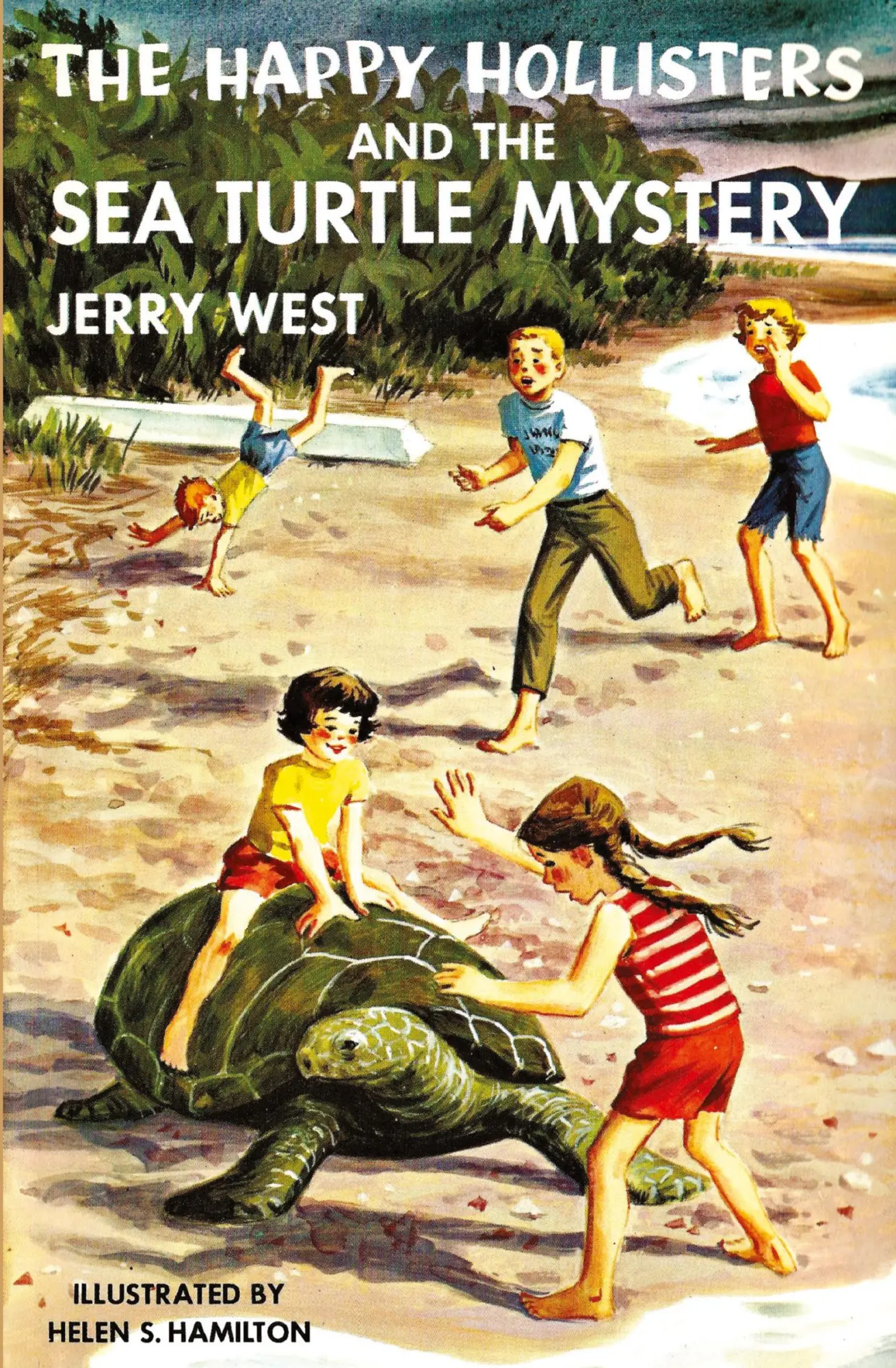 Cover: 9781949436594 | The Happy Hollisters and the Sea Turtle Mystery | Jerry West | Buch
