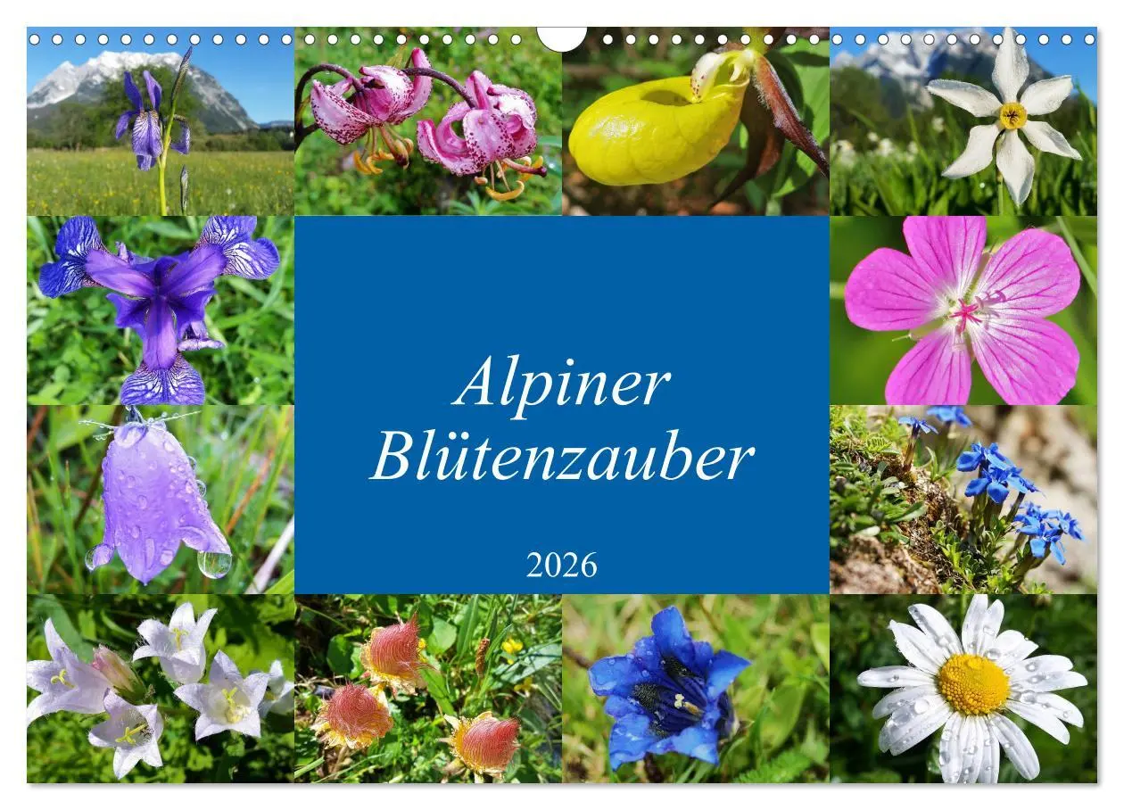 Cover: 9783457896594 | Alpiner Blütenzauber (Wandkalender 2026 DIN A3 quer), CALVENDO...