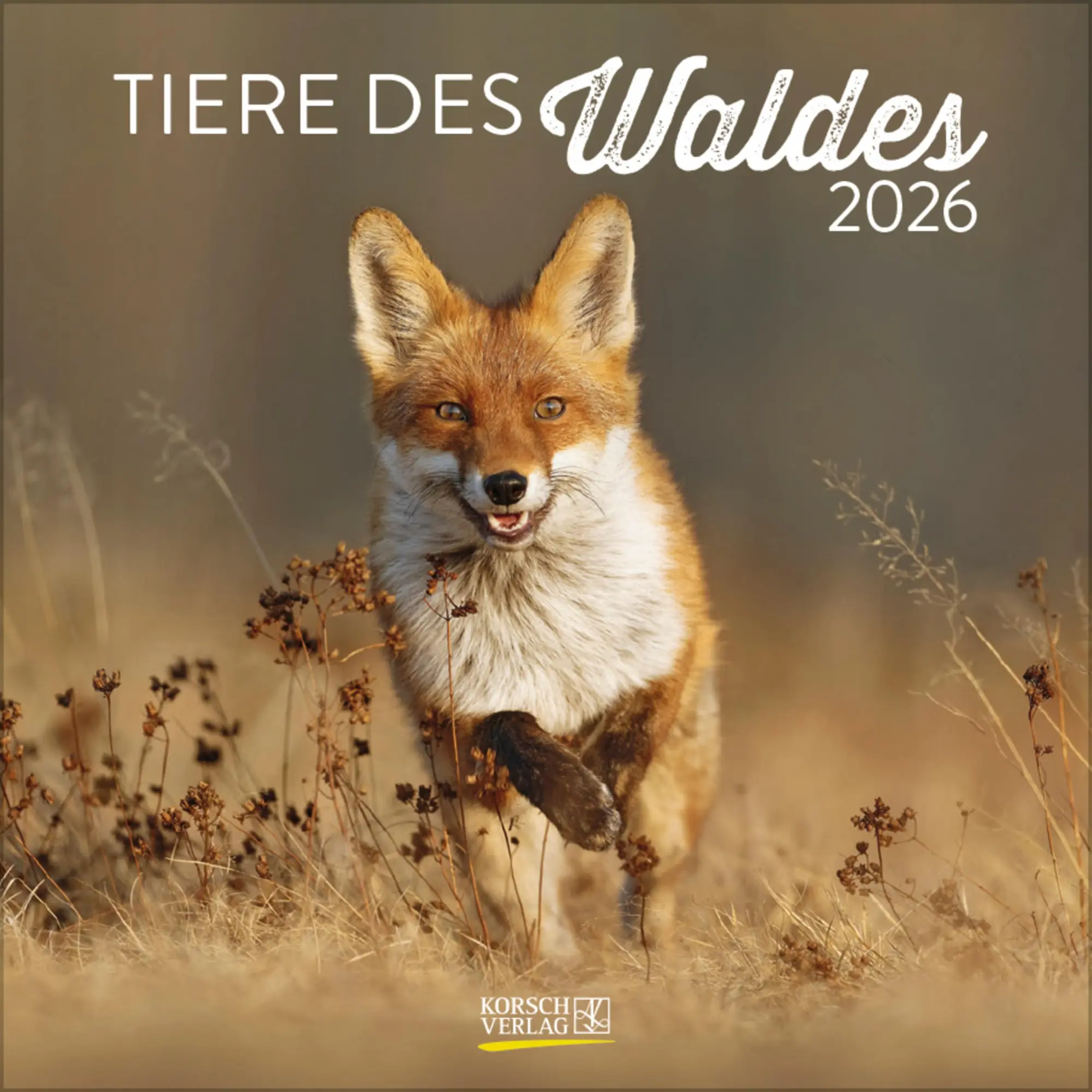 Cover: 9783731886594 | Tiere des Waldes 2026 | Verlag Korsch | Kalender | 13 S. | Deutsch