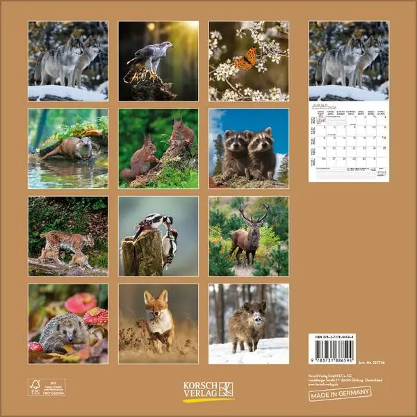 Bild: 9783731886594 | Tiere des Waldes 2026 | Verlag Korsch | Kalender | 13 S. | Deutsch