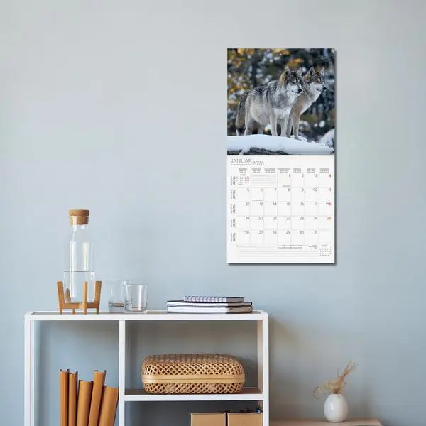 Bild: 9783731886594 | Tiere des Waldes 2026 | Verlag Korsch | Kalender | 13 S. | Deutsch