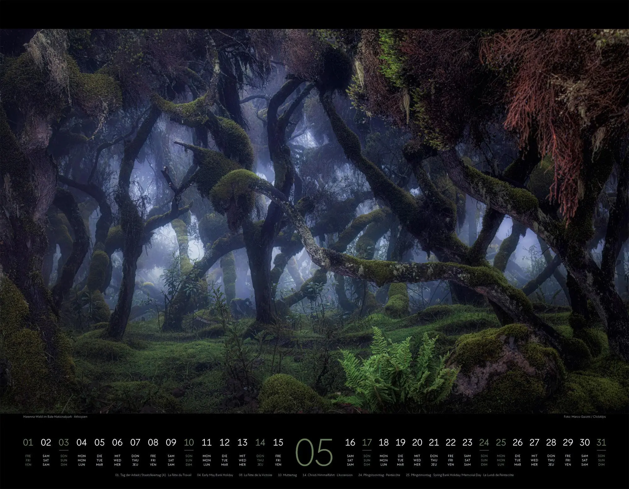 Bild: 9783838426594 | Nightscapes Kalender 2026 Die Welt bei Nacht | GmbH | Kalender | 14 S.
