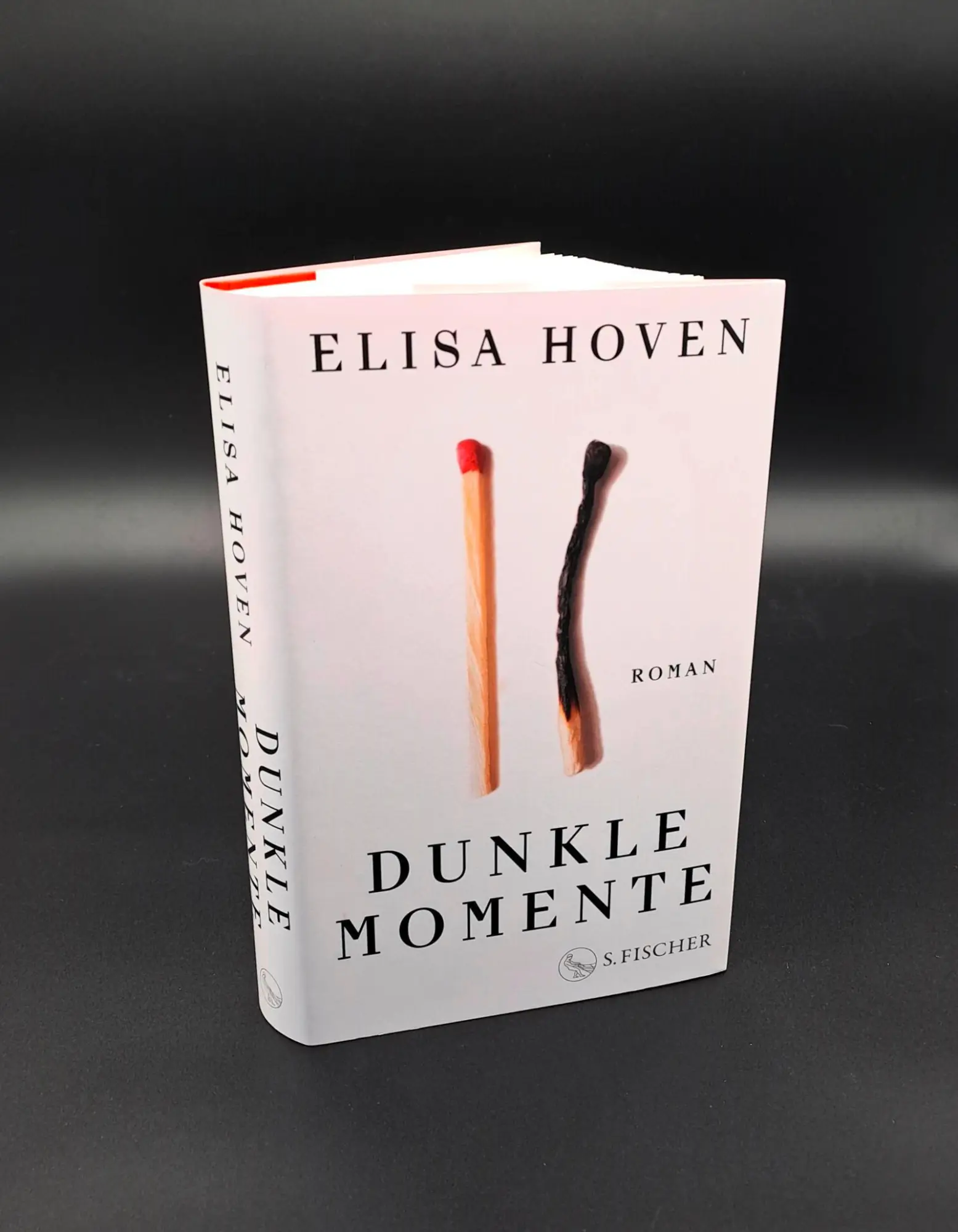 Bild: 9783103976694 | Dunkle Momente | Roman | Elisa Hoven | Buch | 336 S. | Deutsch | 2025