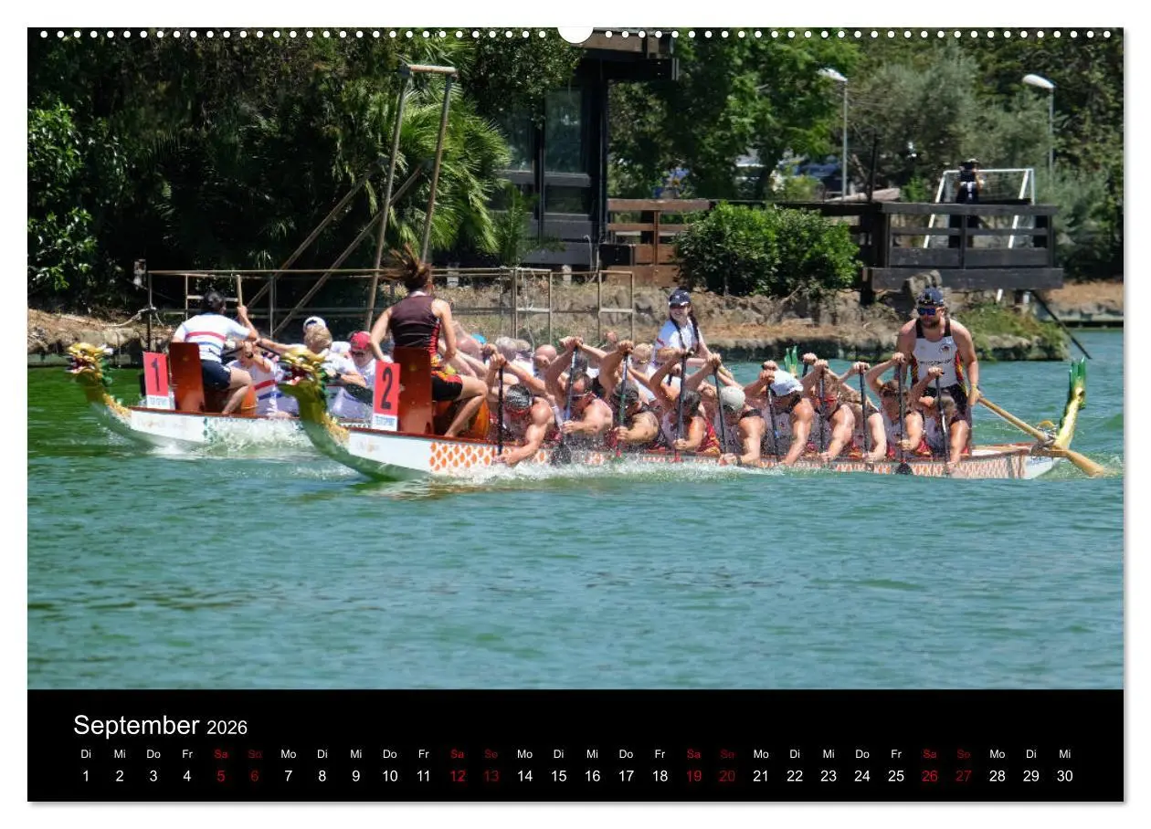 Bild: 9783457886694 | Drachenboot - MissionRome (Wandkalender 2026 DIN A2 quer), CALVENDO...