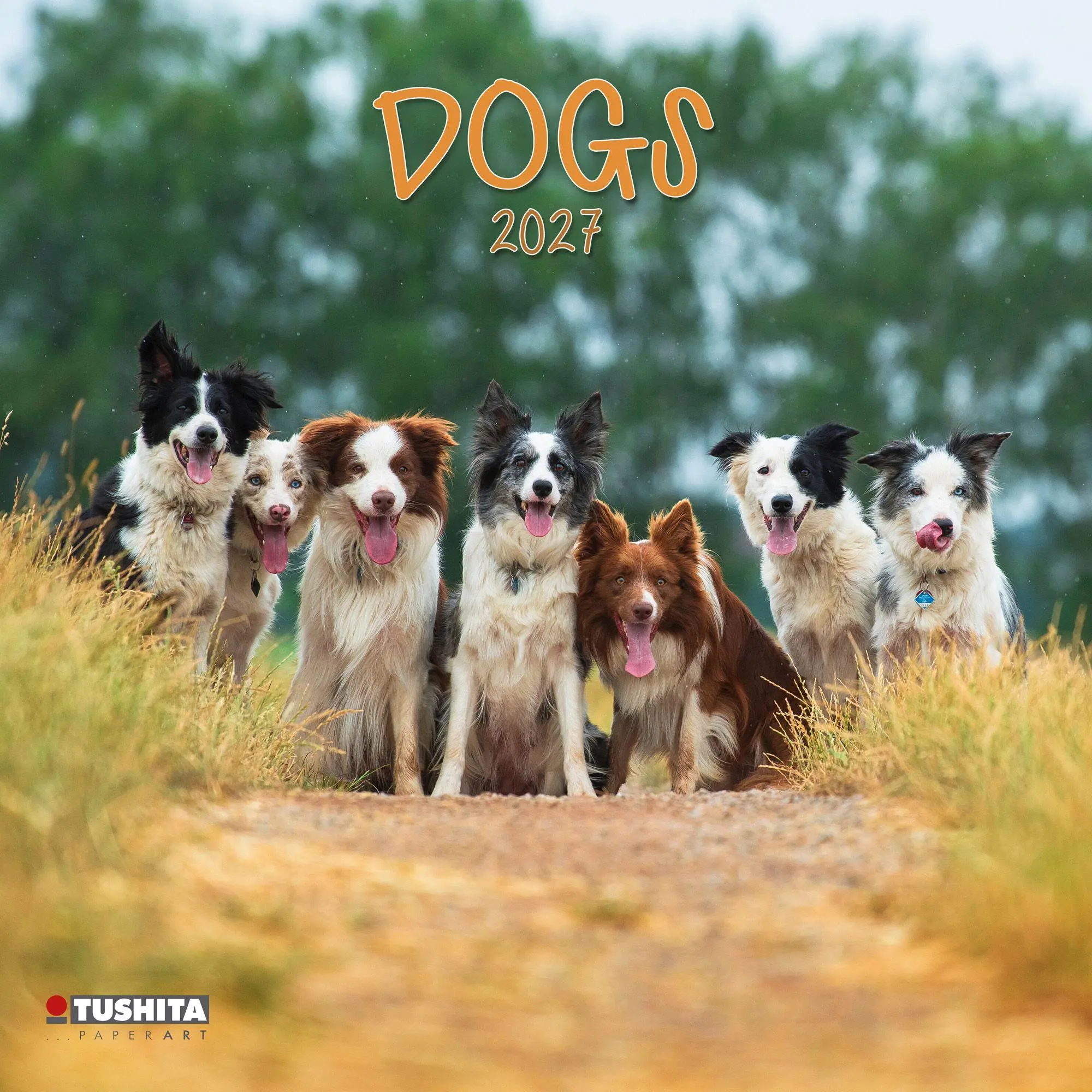 Cover: 9783959296694 | Dogs 2027 | Kalender 2027 | Kalender | 28 S. | Deutsch | 2027