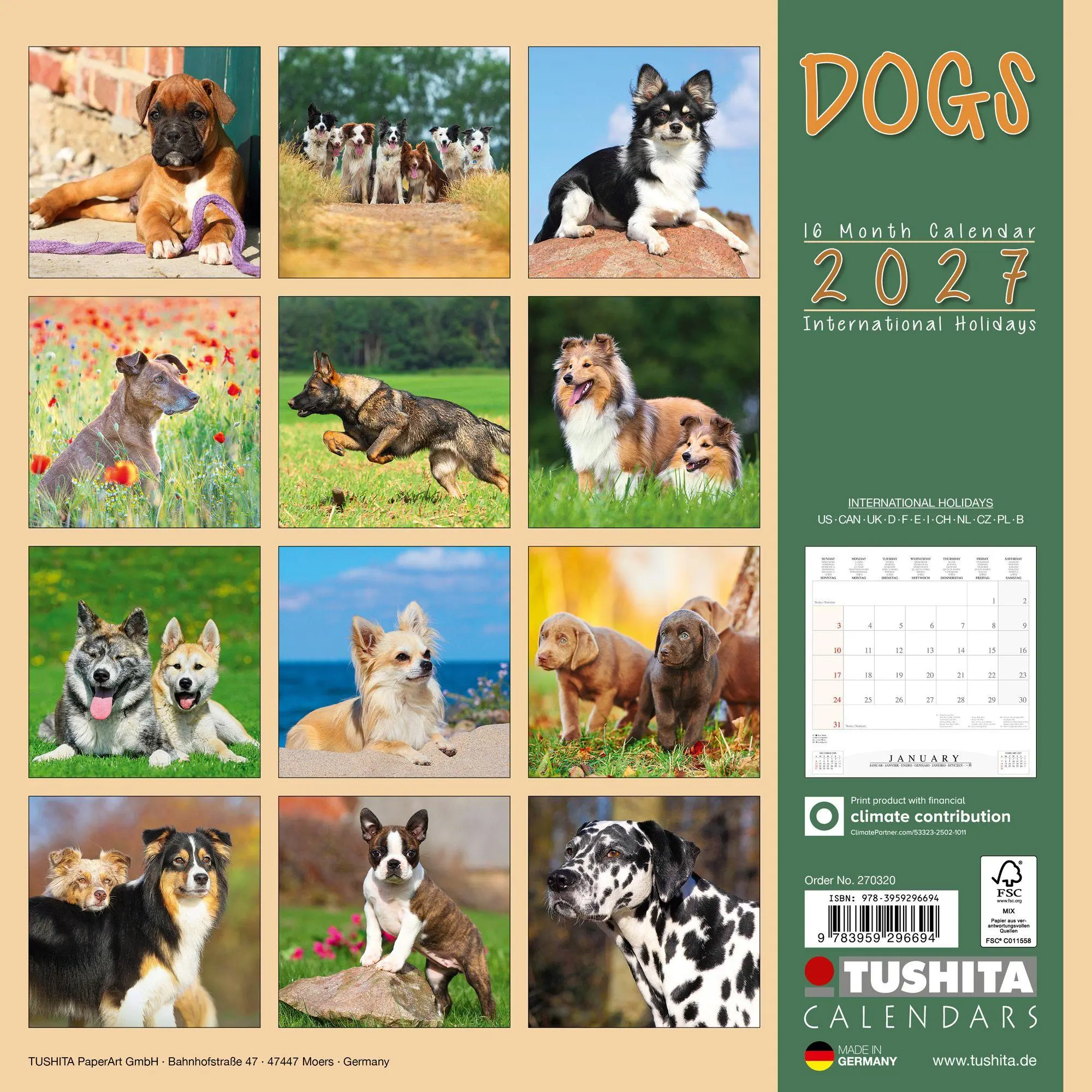 Bild: 9783959296694 | Dogs 2027 | Kalender 2027 | Kalender | 28 S. | Deutsch | 2027