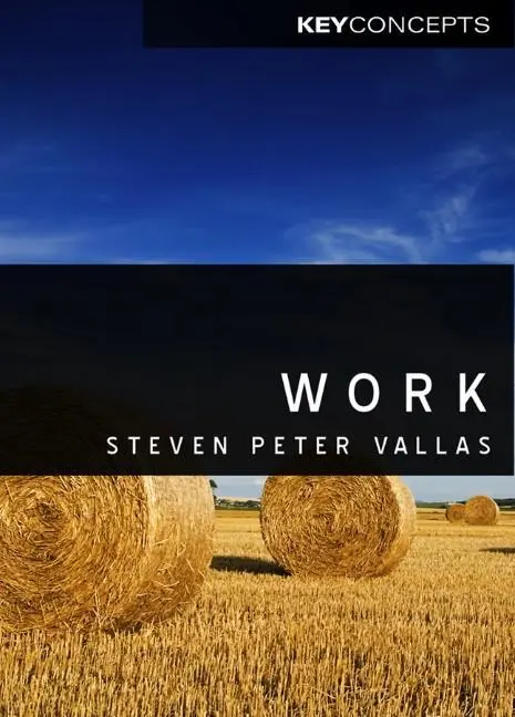 Cover: 9780745646794 | Work | A Critique | Steven Vallas | Taschenbuch | 200 S. | Englisch