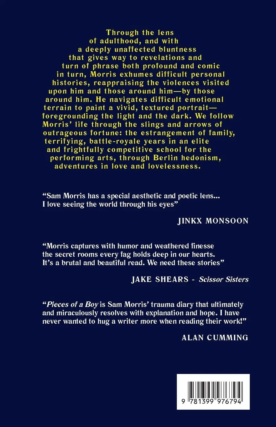 Rückseite: 9781399976794 | Pieces Of A Boy | A Few Queer Things That Happened | Sam Morris | Buch