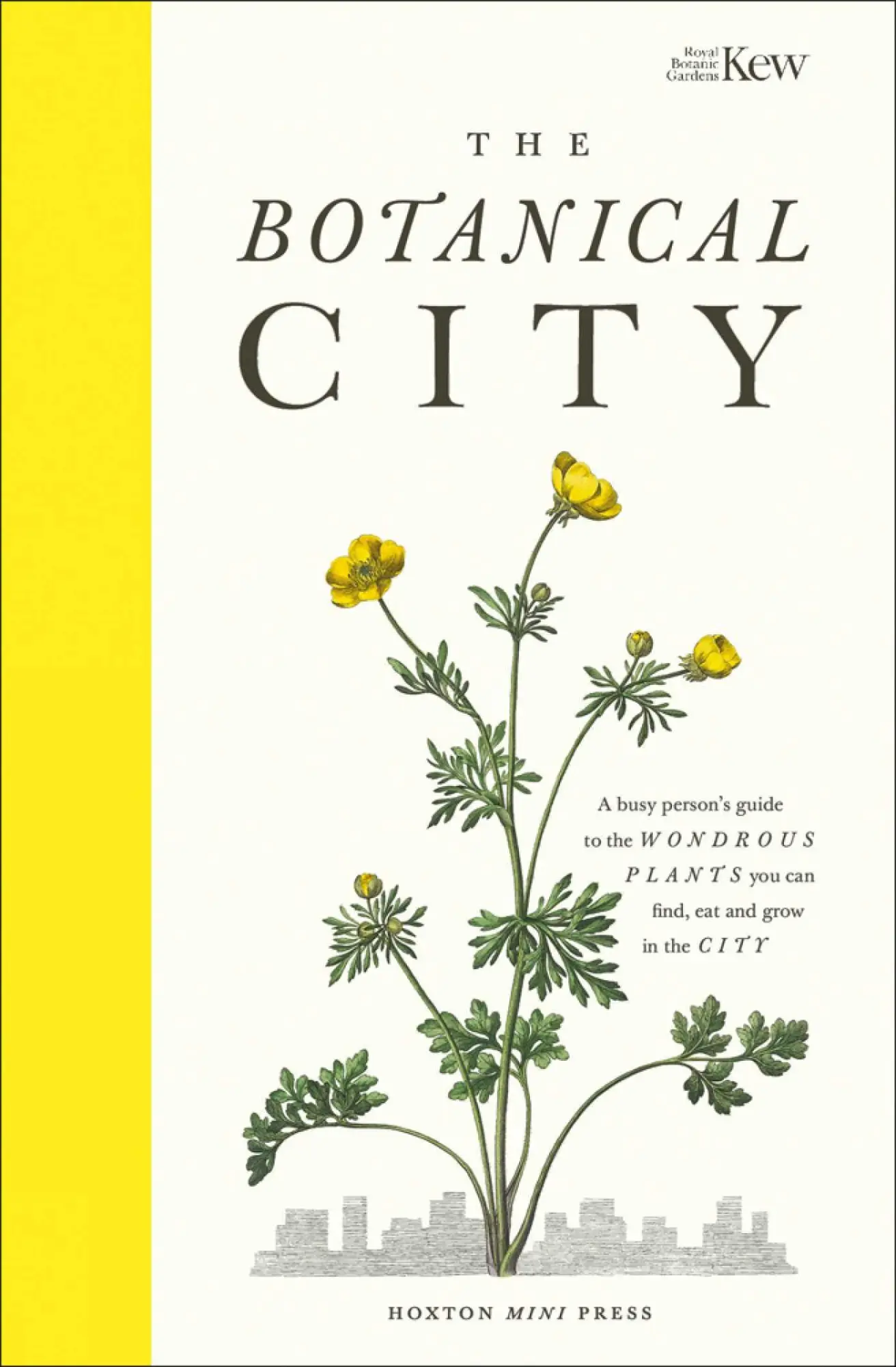 Cover: 9781910566794 | The Botanical City | Helena Dove | Buch | Gebunden | Englisch | 2020