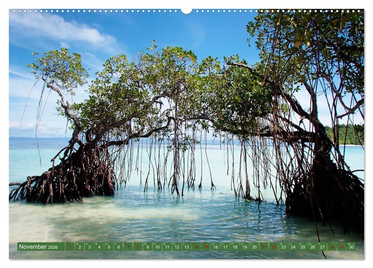 Bild: 9783457566794 | Mangroven - Natürlicher Küstenschutz (Wandkalender 2026 DIN A2...