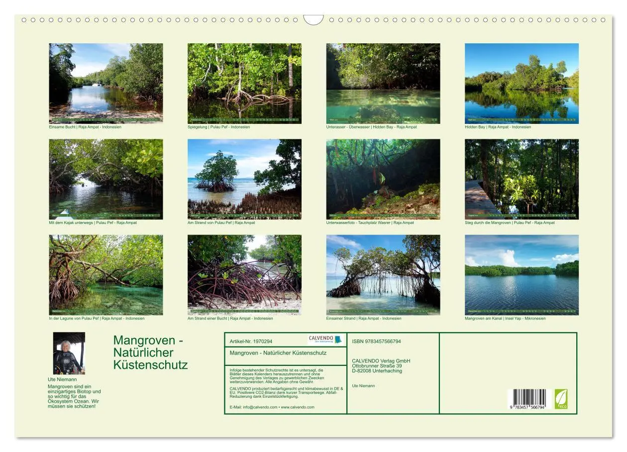 Bild: 9783457566794 | Mangroven - Natürlicher Küstenschutz (Wandkalender 2026 DIN A2...