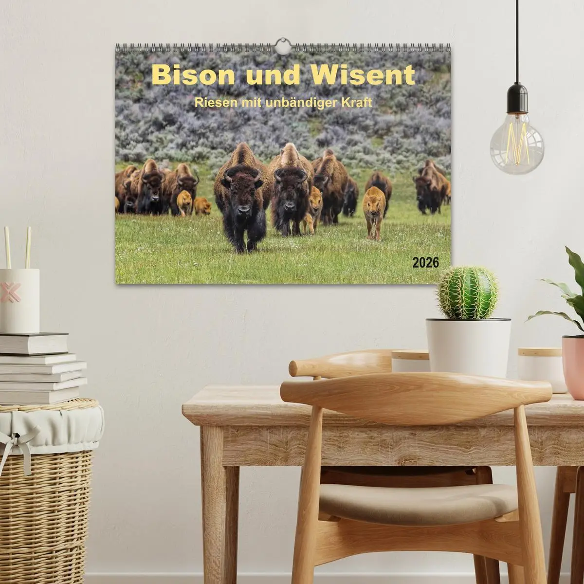 Bild: 9783516036794 | Bison und Wisent - Riesen mit unbändiger Kraft (Wandkalender 2026...