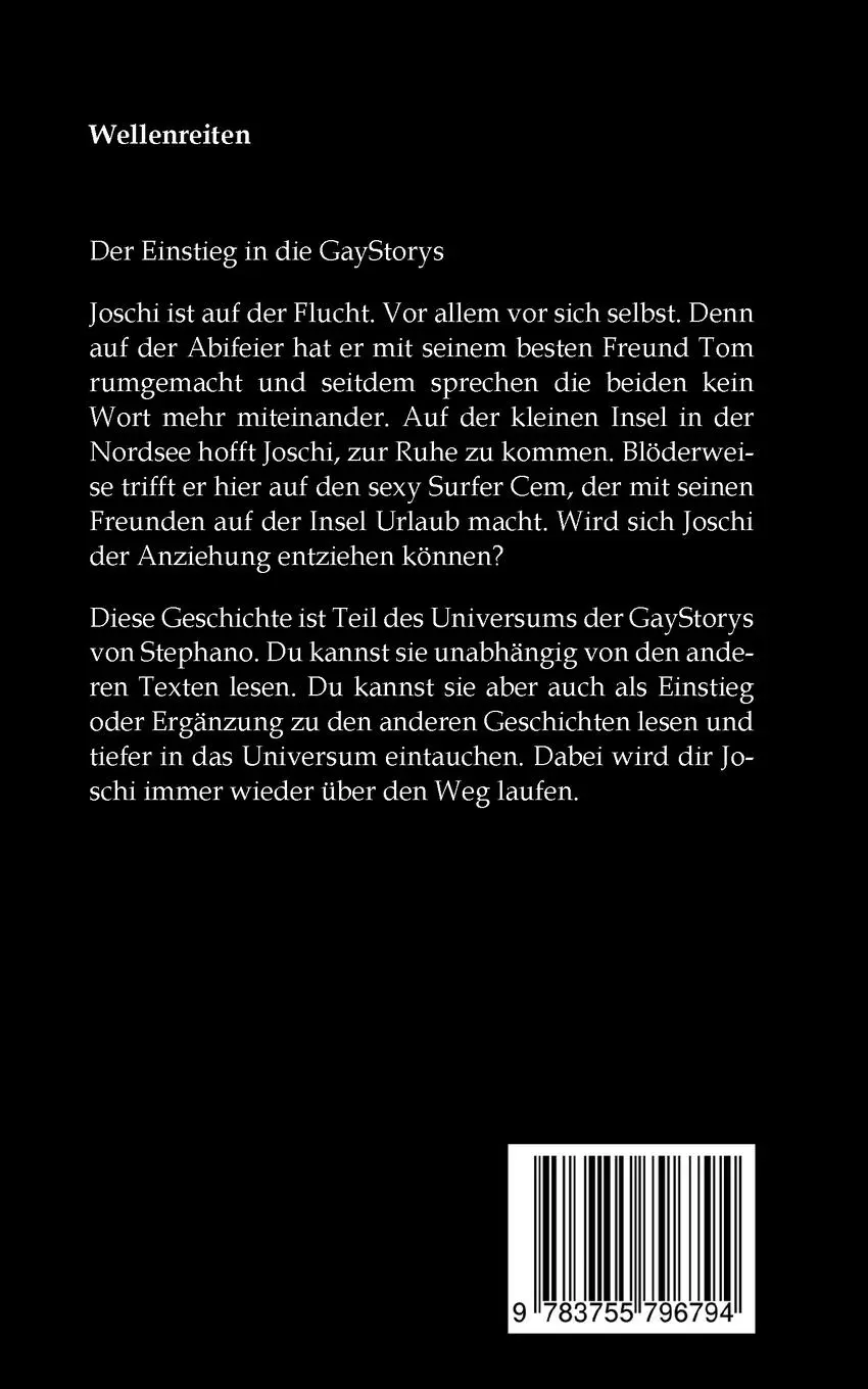 Rückseite: 9783755796794 | Wellenreiten | Der Anfang der GayStorys | X. Stephano | Taschenbuch