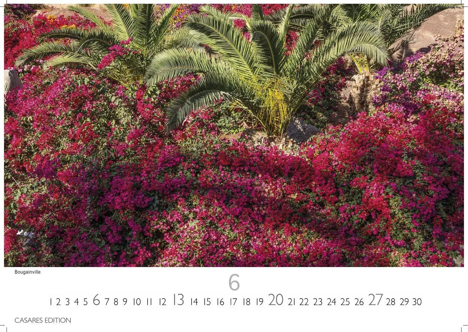 Bild: 9781835246894 | Gran Canaria Kalender 2027 - Wandkalender Fotokalender Spanien...