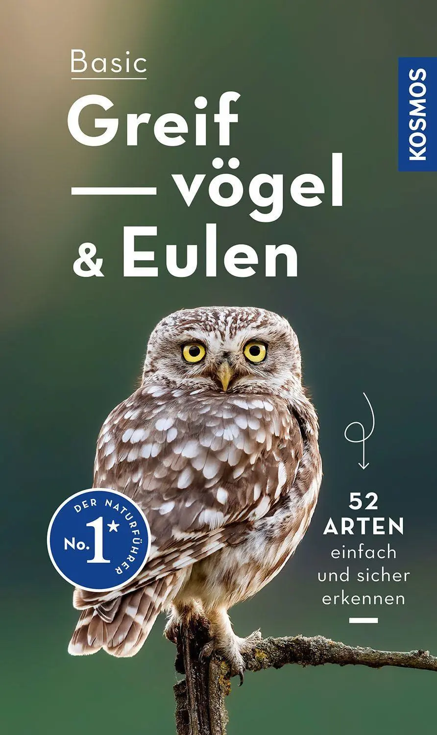 Cover: 9783440176894 | Basic Greifvögel und Eulen | einfach und sicher erkennen | Dierschke