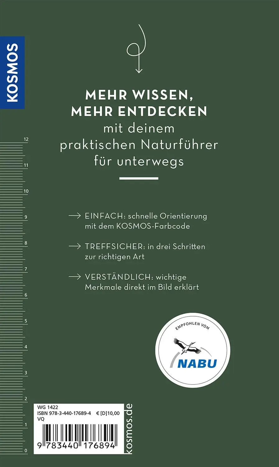 Bild: 9783440176894 | Basic Greifvögel und Eulen | einfach und sicher erkennen | Dierschke