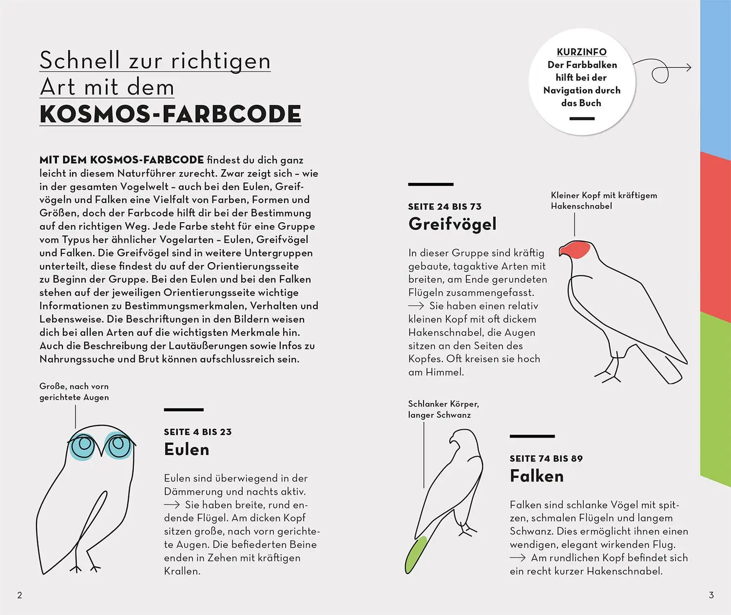 Bild: 9783440176894 | Basic Greifvögel und Eulen | einfach und sicher erkennen | Dierschke