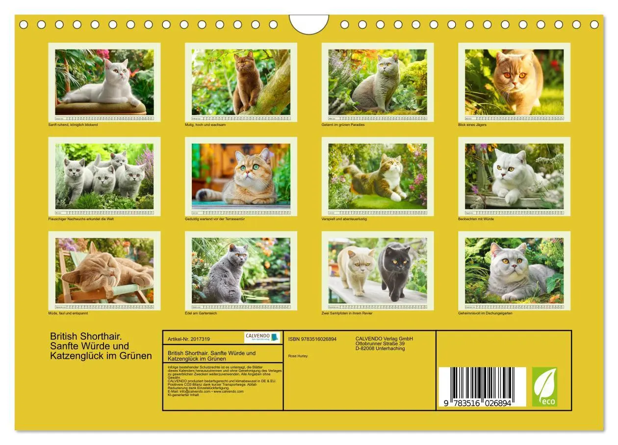 Bild: 9783516026894 | British Shorthair. Sanfte Würde und Katzenglück im Grünen...