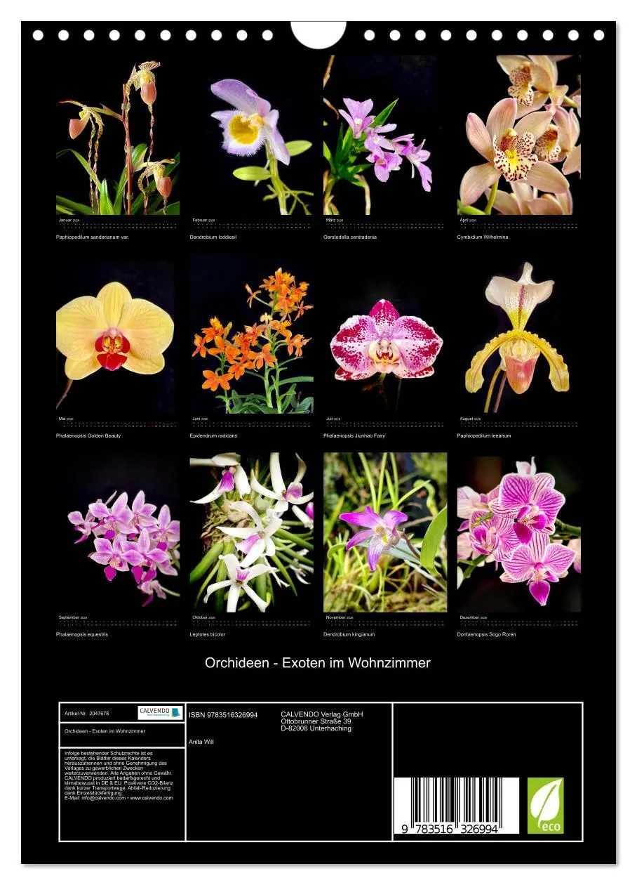 Bild: 9783516326994 | Orchideen - Exoten im Wohnzimmer (Wandkalender 2026 DIN A4 hoch),...