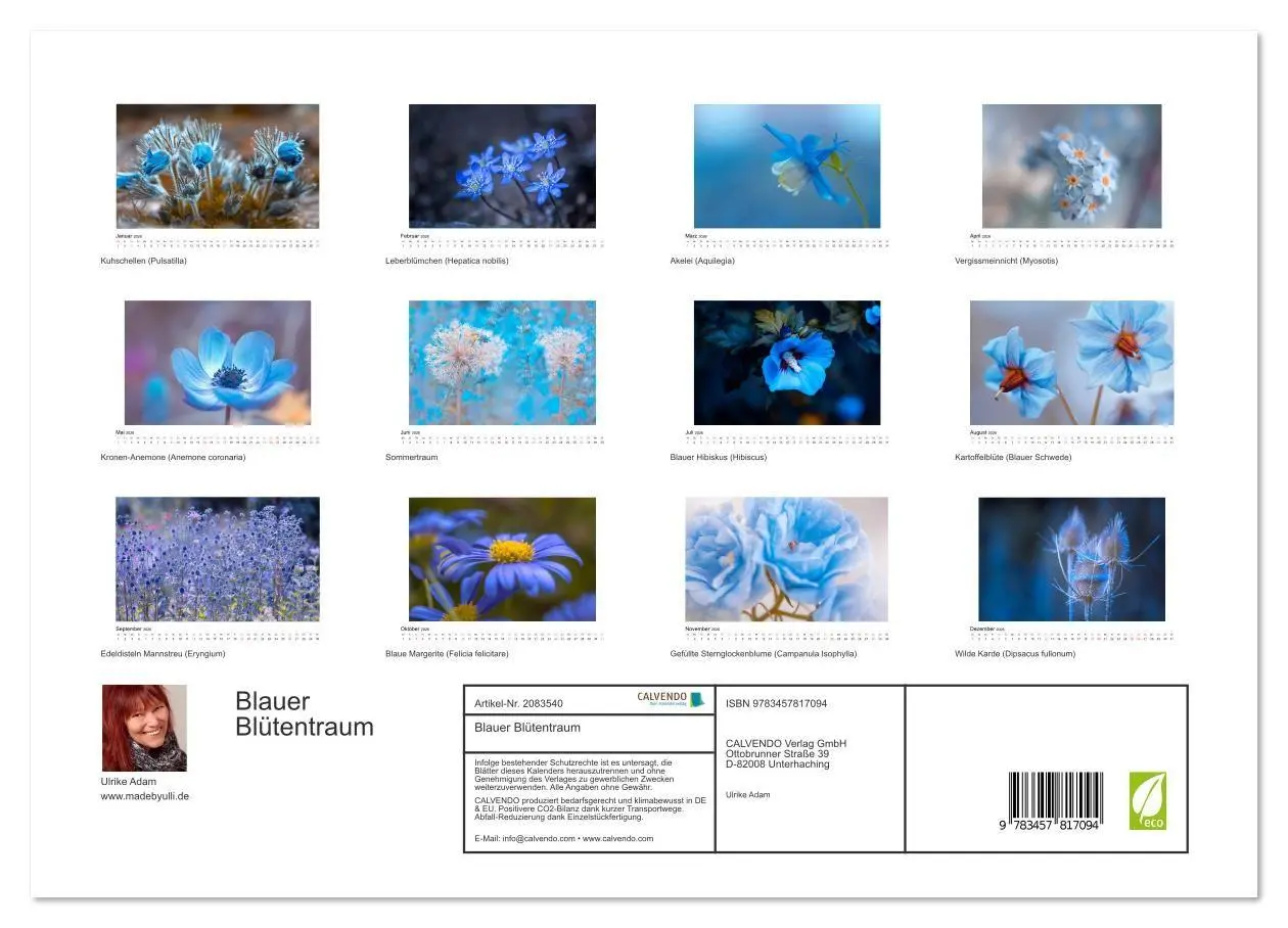 Bild: 9783457817094 | Blauer Blütentraum (Wandkalender 2026 DIN A3 quer), CALVENDO...