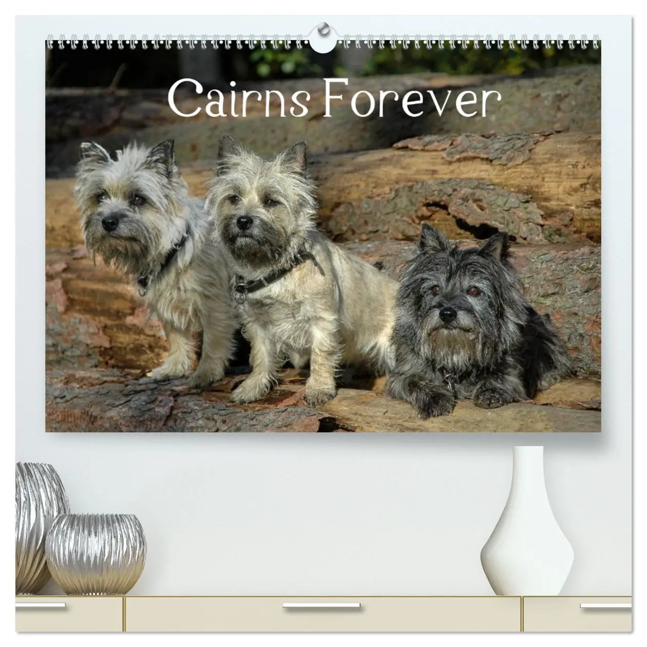 Cover: 9783457987094 | Cairns Forever (hochwertiger Premium Wandkalender 2026 DIN A2...