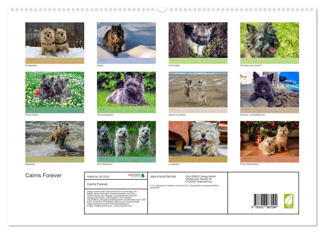 Bild: 9783457987094 | Cairns Forever (hochwertiger Premium Wandkalender 2026 DIN A2...