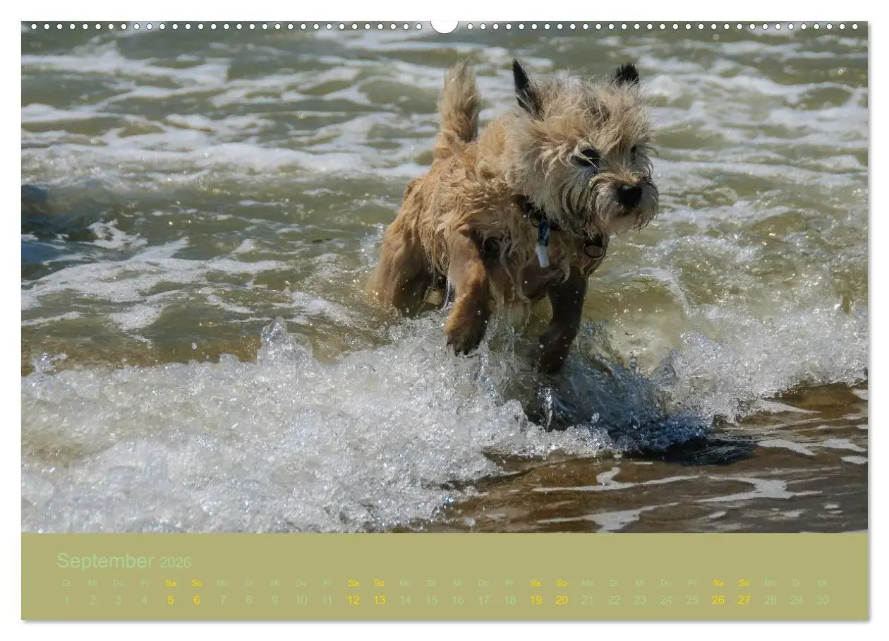 Bild: 9783457987094 | Cairns Forever (hochwertiger Premium Wandkalender 2026 DIN A2...