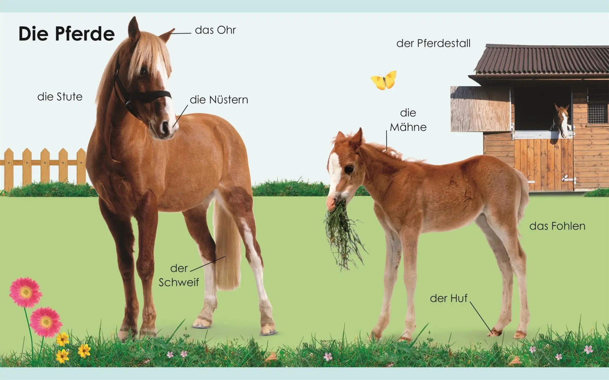 Bild: 9783831037094 | Erstes Lernen mini. Bauernhof | DK Verlag - Kids | Buch | 36 S. | 2019
